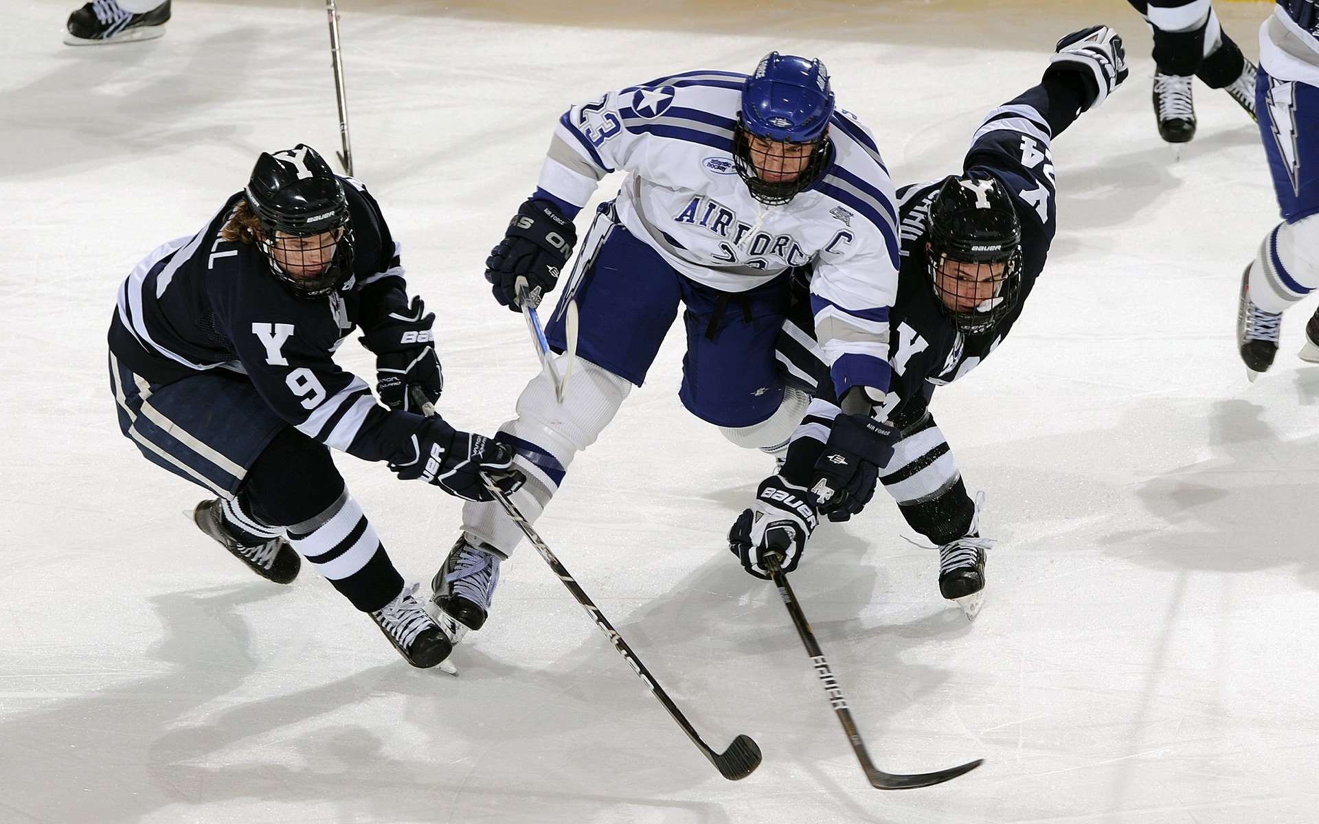 世界高尔夫巡回赛迎来关键赛事周，高尔夫之王世界巡回赛